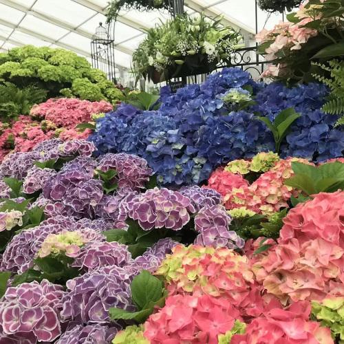 Gardening Evening with Paul Cook